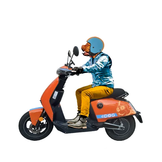 stickers_ScooterH.png