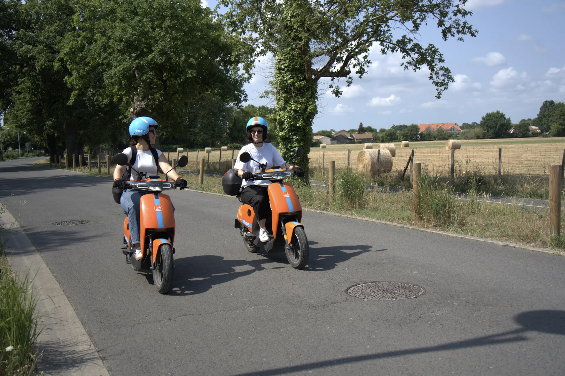 Scooters eDOG en Le Teich